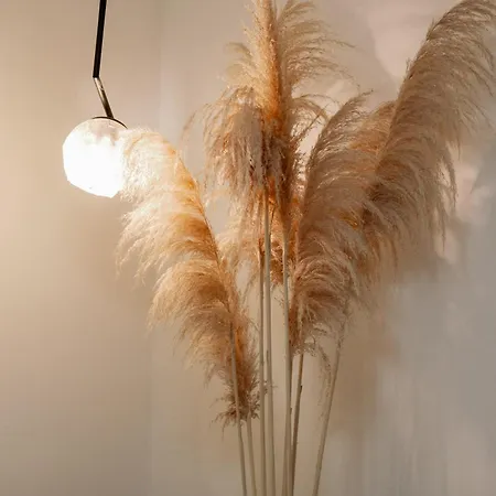 Spalato Apartman Apartmán Split